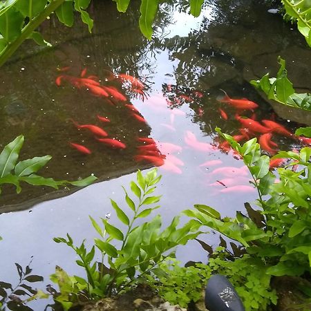 Cape Coral Paradise - Amazing View المظهر الخارجي الصورة